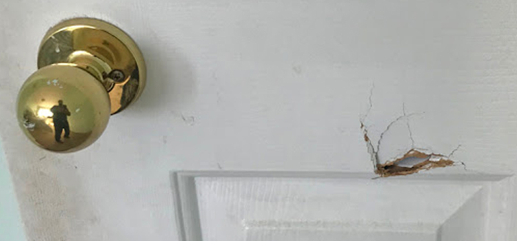 interior door hole repair Walnut Creek